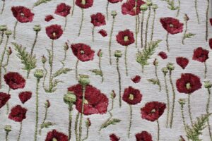 Petit coquelicot fond blanc