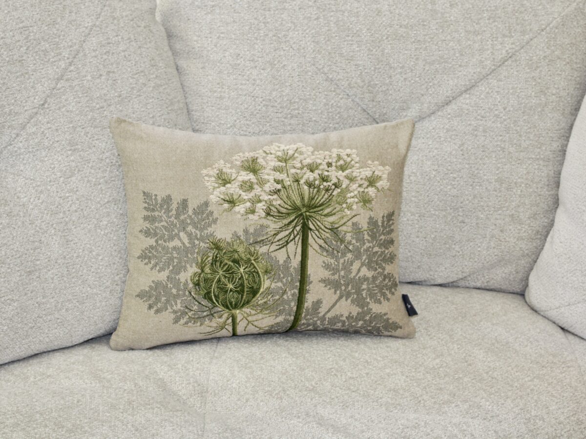 Ombellifère blanc et vert  sur fond gris