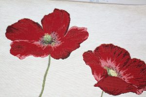Coquelicot rouge fond blanc