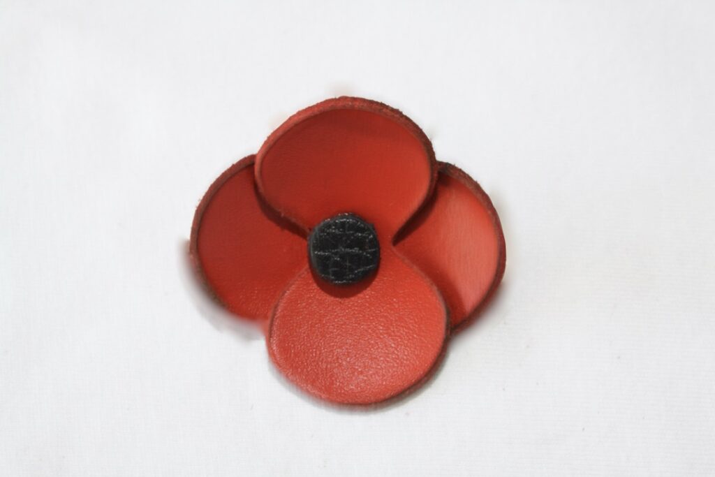 Broche Coquelicot Petit Modèle