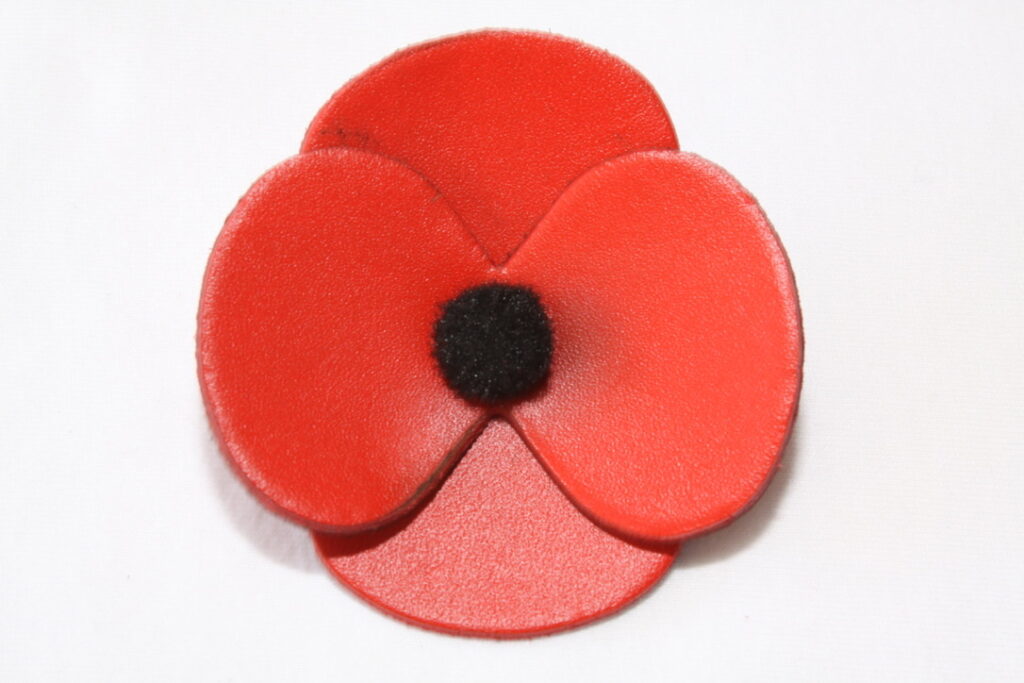Broche Coquelicot Grand Modèle